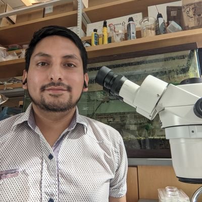 PhD candidate at @ClarkUniversity | All about embryos, signals, neurons, and evolution | Opinions are my own | 🇵🇪 Non-binary