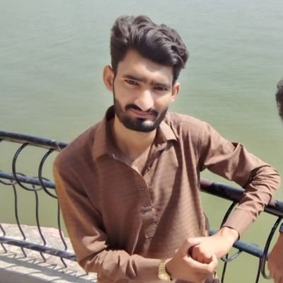 RamzanChaudhry7's profile picture. Web Developer