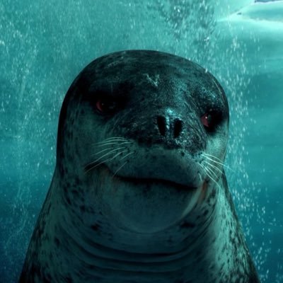 leopardseal100's profile picture. Im  a leopard seal Hello how do you Use Teitter