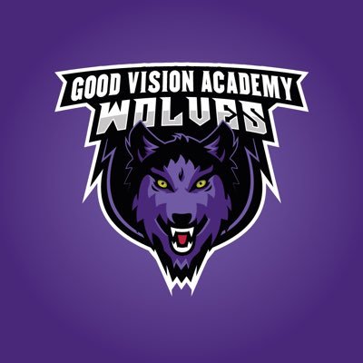 Official account for Good Vision Academy Email: goodvisionacademy@gmail.com Instagram: GVA_Basketball