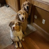 ljk5193 (@ljk5193) 's Twitter Profile