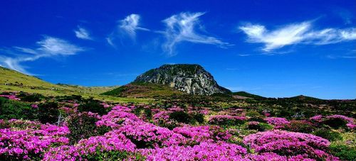 화산섬 제주, 한라산과 꽃사슴, 푸른 바다와  해녀, 올록볼록한 오름과 유채꽃 등  제주의 아름다운 풍경을 사진으로 기록하는 구름 나그네