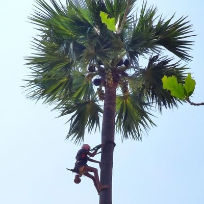 ఓ సాధారణ మధ్య తరగతి యువకుడు.