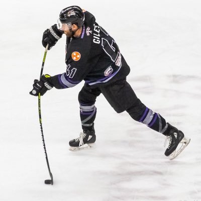 Professional Hockey Player | Co-Founder of Webvantage websites, social media management & marketing | Sales Rep for Verbero hockey equipment and apparel