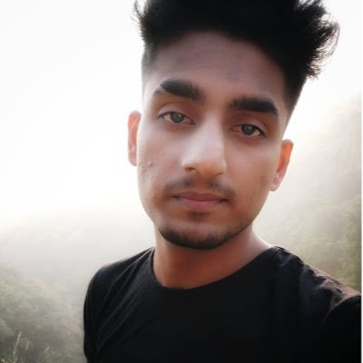 heyaayushh's profile picture. Web Application Penetration Tester