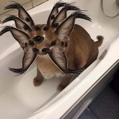 gorororor0's profile picture. 