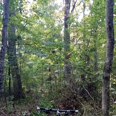 daniyyel235's profile picture. random twitter kid