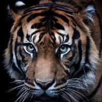 BEGITA (@begita1583) Twitter profile photo