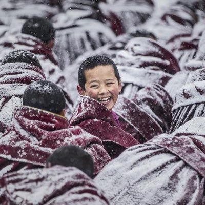 Tangyu96's profile picture. 