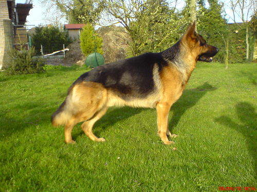 JEANPAULBERTHE's profile picture. 