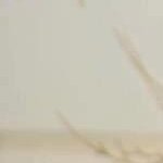 estARABim (@eda09256262) Twitter profile photo