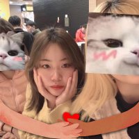 Abby Liu (@abbyliu6688) 's Twitter Profile