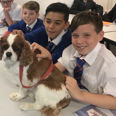 @WhitmoreHigh_Year10 Profile