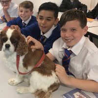 @WhitmoreHigh_Year10 (@whitmorehigh10) 's Twitter Profile Photo @WhitmoreHigh_Year10 (@whitmorehigh10) 's Twitter Profile Photo