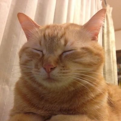 unney5's profile picture. 