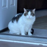 chloe πΊπ¦π (@chloebhloefhloe) 's Twitter Profile