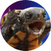 The Turtle-Pigeon (@Turtle_Pigeon) Twitter profile photo