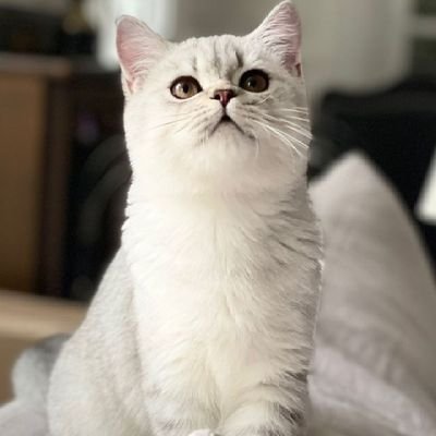 malique_miqael's profile picture. be happy