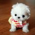 RawDog (@rawdogpua) Twitter profile photo RawDog (@rawdogpua) Twitter profile photo