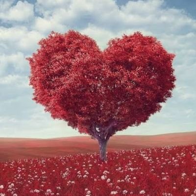 kaif1556's profile picture. kaif is the name my grandparents gave me