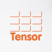 Tensor plc(@Tensorplc) 's Twitter Profile Photo