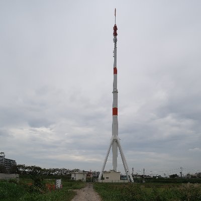 タワーは眺めるのも昇るのも好き。高層ビルや大きな構造物も好き。飛行機も好きなので、総じて高いところが好み。近頃はもっぱら街の散策に明け暮れてます。パズル作家としても地道に活動中