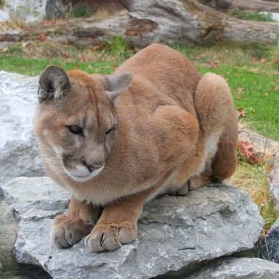 ニコ生でよくコメントしてます。ヨロシクな(^ω^)宮崎市ニシタチ最高‼️高知県ひろめ市場最高‼️大阪新世界・ジャン横・西成最高‼️讃岐うどん巡り・骨付き鶏最高‼️広島お好み焼き最高‼️焼き鳥の名門秋吉最高‼️