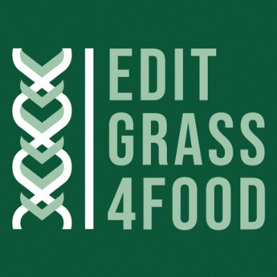 Project EEZ/BPP/VIAA/2021/4 
Improving adaptability and resilience of perennial ryegrass for safe and sustainable food systems through CRISPR-Cas9 technology