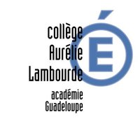 Clg Aurélie Lambourde (@clglambourde971) 's Twitter Profile