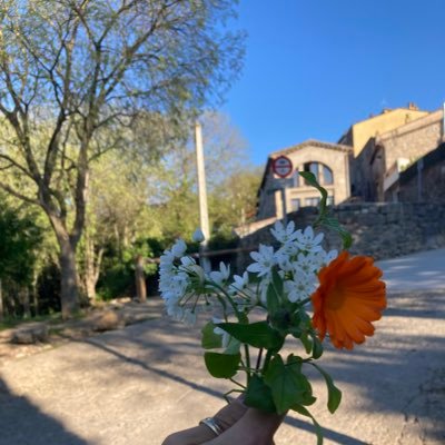 macmillan_joel's profile picture. Welcome to my mind