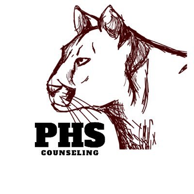 Princeton High School Counselors' twitter account to send information. Princeton, Texas