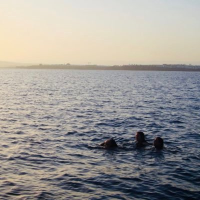 aliiquintanaa's profile picture. 