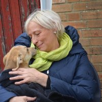 Coremans Marie φ 🐈‍⬛🐶🐢🇵🇸 (@marie_angele) 's Twitter Profile Photo