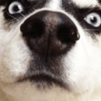 nonglek_lek's profile picture. 