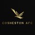 Cosheston AFC (@coshestonafc) Twitter profile photo Cosheston AFC (@coshestonafc) Twitter profile photo
