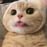 tek (@tekr6s) 's Twitter Profile Photo tek (@tekr6s) 's Twitter Profile Photo