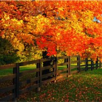 Brandy Dawn Preston (@brandydawnpres1) 's Twitter Profile Photo