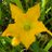 MaColl9291's profile image