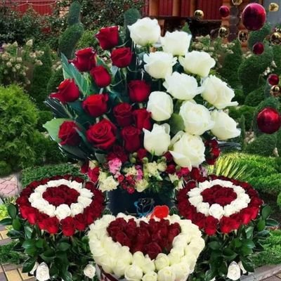 Siri59110015's profile picture. సరదాగా కాసేపు