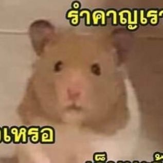 ᵃˡˡ ᵃᵇᵒᵘᵗ ᵉˣᵒ | ᶰᶜᵗ | ᵗʰᵉ ᵇᵒʸᶻ | ˣ¹ ♥ °`·..🥛。. `·.. 🥄' יִ *·..🧂..°☆ พิโน่สามขวบ! ✿