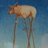 blt69's profile image