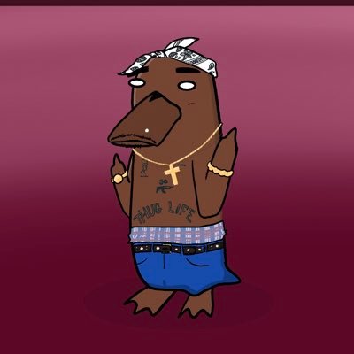 vitycent50's profile picture. just a squirrel looking for a nut