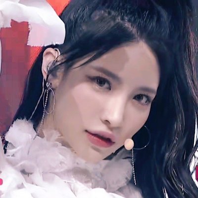 Bearfree5Bear's profile picture. 