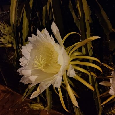 wen0933460063's profile picture. 