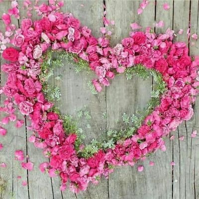 arezoo_merdaci's profile picture. با افتخار به اصالتم می بالم
فالو=فالو💯💯