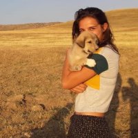 Mélanie Fabre (@melanie_zooarch) 's Twitter Profile