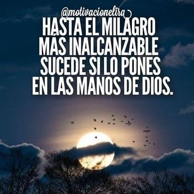 BARANDONJORGE5's profile picture. 