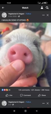 Cachond0_'s profile picture. 