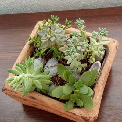 Gabypreciosa's profile picture. Zombie lover. Profesionista. Creyente. Escritora. Apasionada. Feliz. Escribiendo mi historia...