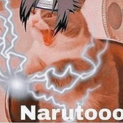 kingmsgg's profile picture. Maxmarine